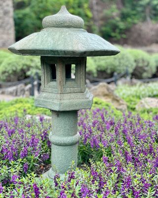 Japanese Tea Garden by null
