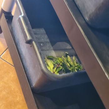 Pho Duy - You think during this COVID-19, they would take precautions and not reuse customer's left over herbs to serve the next customer. - Vietnamese Near Me - Houston, Texas Pho Duy - You think during this COVID-19, they would take precautions and not reuse customer's left over herbs to serve the next customer. - Vietnamese Near Me - Houston, Texas