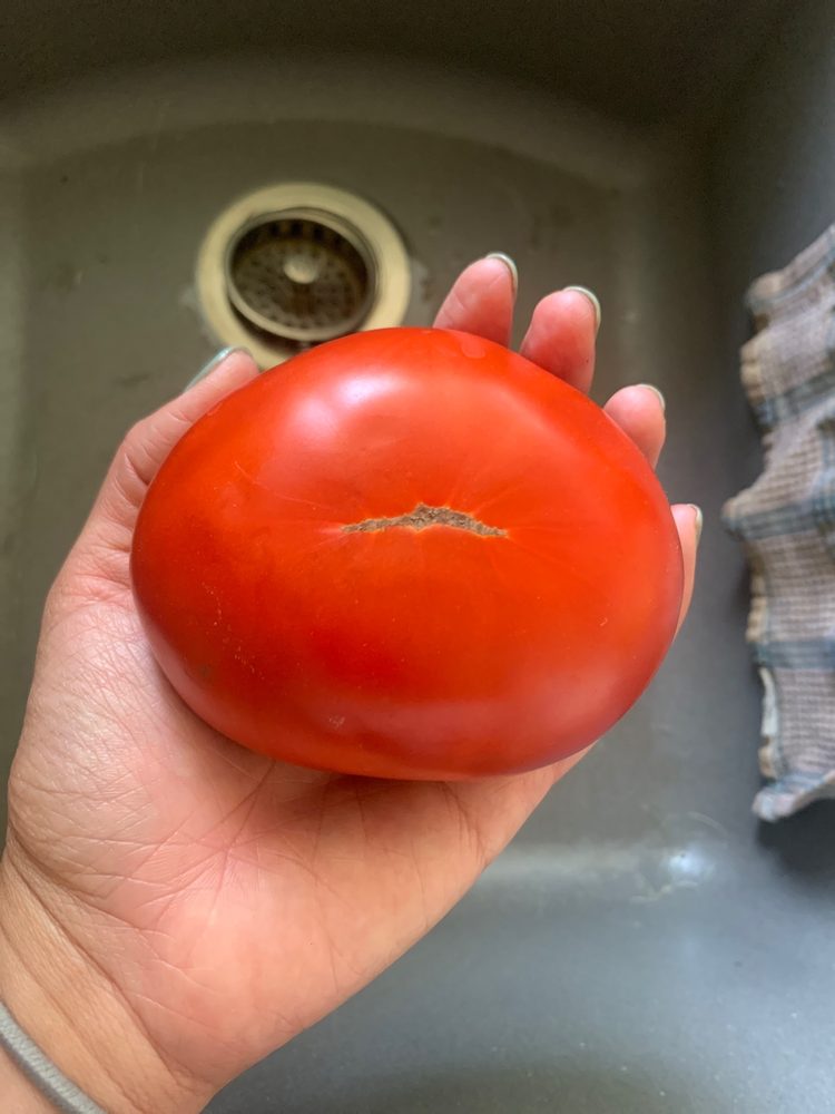 JIM & CHARLIE’S AFFLIATED FOODS Updated July 2024 121 N Clinton St