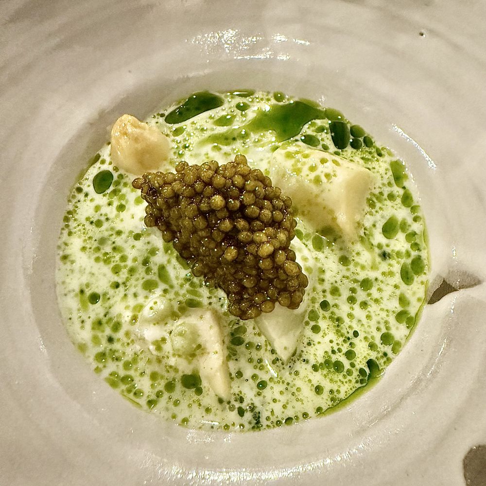 aend - Burgenland Asparagus & Ossetra Caviar - Modern European Near Me - Vienna, 9
