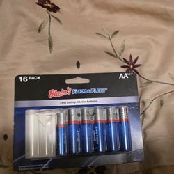 BLAIN'S FARM & FLEET - Bourbonnais, IL - used 5 batteries of 16 .. they were worst than dollar tree version which are fraction of cost