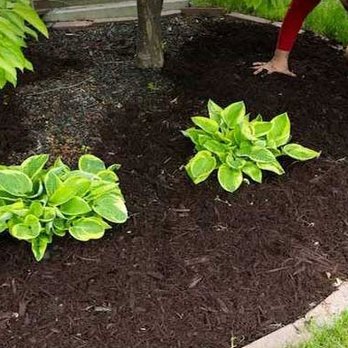 Turf Plus Outdoor Living - Landscaping: Design & Service - Landscaping Near Me - Cypress, Texas Turf Plus Outdoor Living - Landscaping: Design & Service - Landscaping Near Me - Cypress, Texas