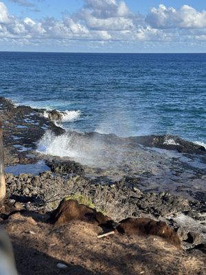 Spouting Horn by null