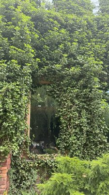 Pioneer Works by null