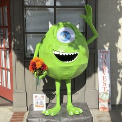 Bayside Family Optometry - VOTE for MIKE!!