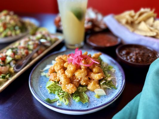 Hussong's Cantina by null