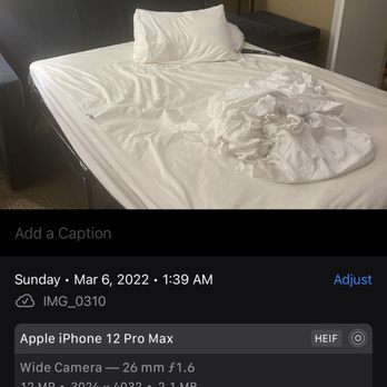 Comfort Suites Oakbrook Terrace Near Oakbrook Center - The bed with the bed bug that my cousin was bitten in, in room 217 at Comfort Suites Inn in Oak Brook Terrace - Hotels Near Me - Oakbrook Terrace, Illinois