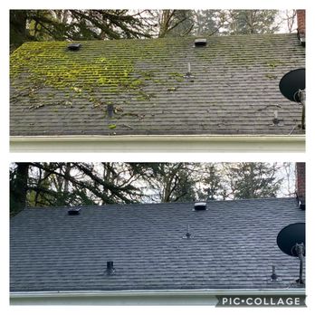 Clean Pro Moss - Roofing Near Me - Ruston, Washington