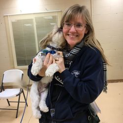 On The Spot Dog Training