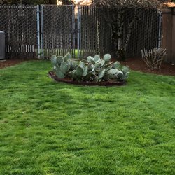 Garcia's Landscape Maintenance in Tualatin gift card