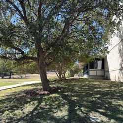 New Braunfels Public Library - Reading garden