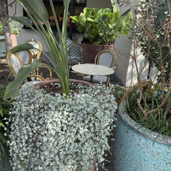 Badolina Bakery & Cafe - Outdoor seating - Cafes Near Me - Houston, Texas Badolina Bakery & Cafe - Outdoor seating - Cafes Near Me - Houston, Texas