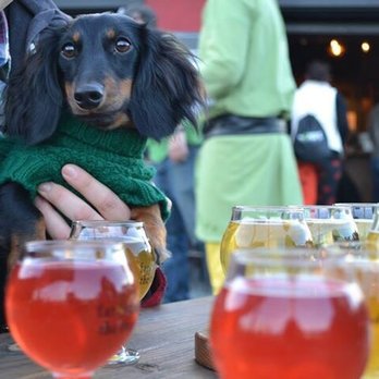 Far From The Tree Cider - Two tasting flights on a beautiful fall afternoon - what could be better?! - Cideries Near Me - Salem, Massachusetts Far From The Tree Cider - Two tasting flights on a beautiful fall afternoon - what could be better?! - Cideries Near Me - Salem, Massachusetts