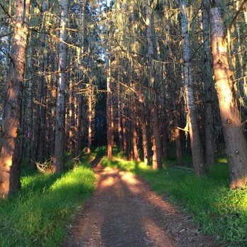 Saddle Mountain  - The hiking trail - Campgrounds Near Me - Carmel, California