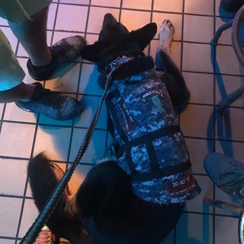 Sandbar Bar & Grill - My service dog - Pizza Near Me - Virginia Beach, Virginia