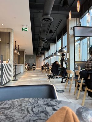 Impact Kitchen by null