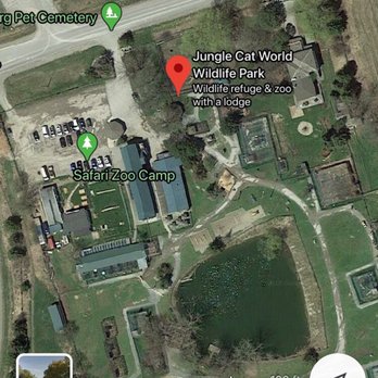 Jungle Cat World Wildlife Park - The tiger and lion cages are tiny and you can see from this aerial photo. So saddening:( - Zoos Near Me - Orono, Ontario Jungle Cat World Wildlife Park - The tiger and lion cages are tiny and you can see from this aerial photo. So saddening:( - Zoos Near Me - Orono, Ontario