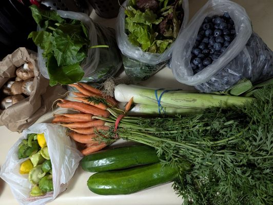 West Allis Farmers Market by null