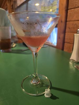 The Froggy Dog by null