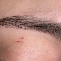 Luxe Eyebrows
