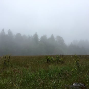 Salt Point State Park - The Prairie that makes me want to sing "home, home on the range" - Parks Near Me - Jenner, California