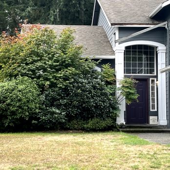 Seatown Landscaping - Before - Tree Services Near Me Seatown Landscaping - Before - Tree Services Near Me