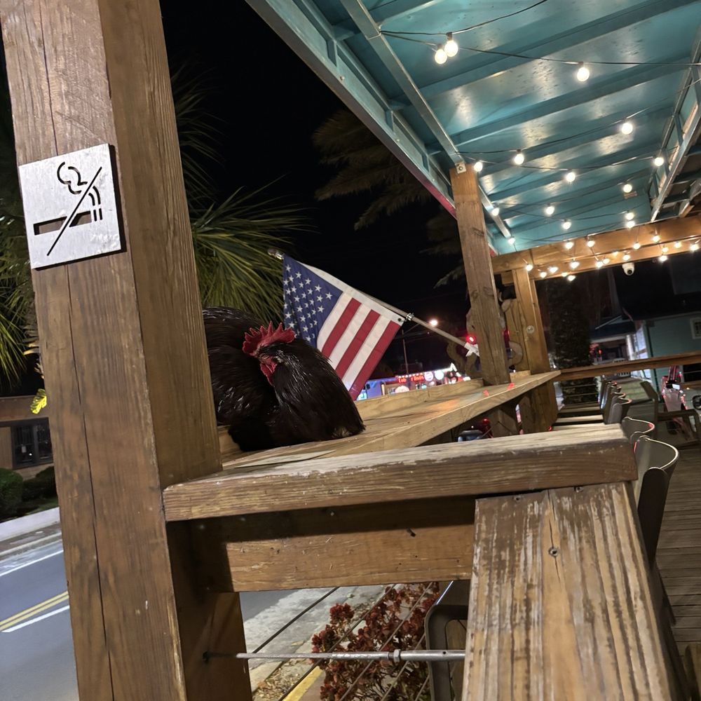 Third Wave Cafe - Creperies Near Me - New Smyrna Beach, Florida Third Wave Cafe - Creperies Near Me - New Smyrna Beach, Florida