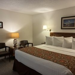 Roadrunner Lodge Motel - Beautiful and comfortable room, keeping with mid-century modern style.
