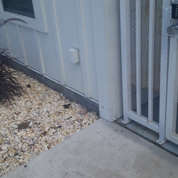 BluWater Apartments - Poop...right outside the entry to the building. - Apartments Near Me - Jacksonville Beach, Florida BluWater Apartments - Poop...right outside the entry to the building. - Apartments Near Me - Jacksonville Beach, Florida