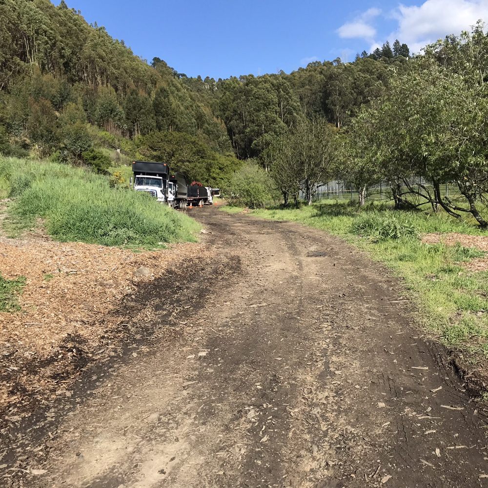 Caldecott Field - Hidden hiking path next to the field - Hiking Near Me - Oakland, California