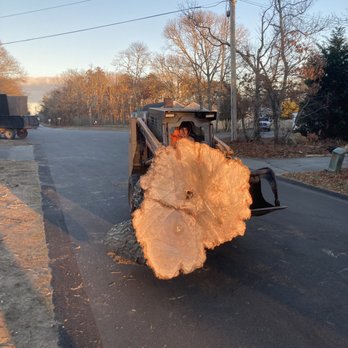 Karl’s Tree Removal - Tree Services Near Me