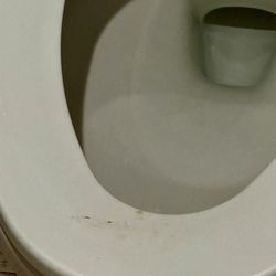 Life in Paradise Vacation Rentals - Toilet seat was wet with bodily fluids