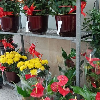 Jade Garden - Florists Near Me - Markham, Ontario Jade Garden - Florists Near Me - Markham, Ontario