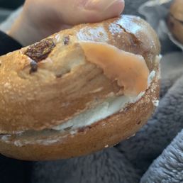 Cinnamon raisin with plain cream cheese. Featuring disgusting salmon from an old bagel, please do better!! Cinnamon raisin with plain cream cheese. Featuring disgusting salmon from an old bagel, please do better!!