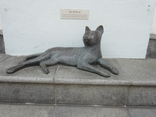 Peranakan Museum by null