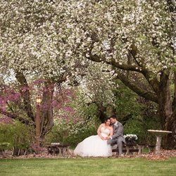 Apple Blossom Chapel and Gardens
