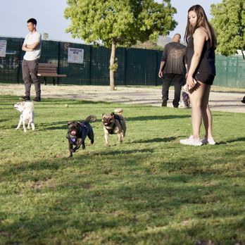 Orange Dog Park - Dog Parks Near Me - Orange, California Orange Dog Park - Dog Parks Near Me - Orange, California