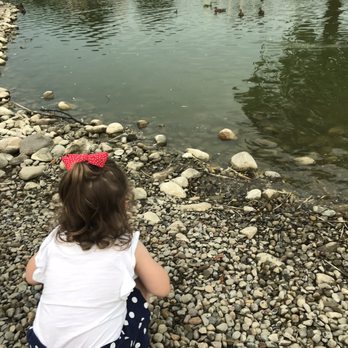 Fulton Steamboat Inn - Beautifully landscaped duck and koi pond. Multiple gazebos and Adirondack chairs. - Hotels Near Me - Lancaster, Pennsylvania