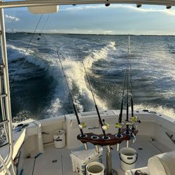 KoKo Charters