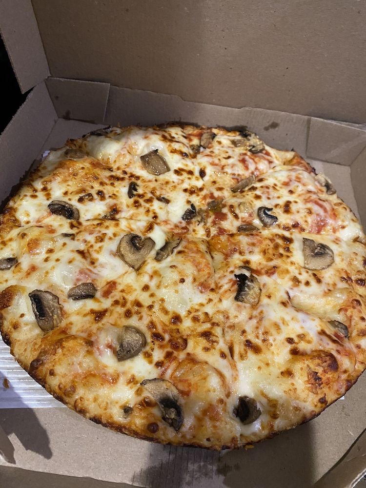 Domino's Pizza Logo