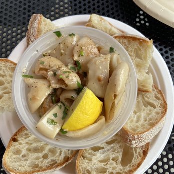 Bucatini - Scampi & Calamari - Italian Near Me - Edmonds, Washington