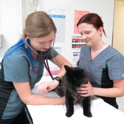 McPhillips Animal Hospital