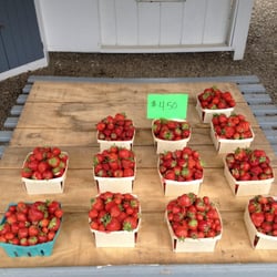 Yerico Farms - 2.75/quart if you pick