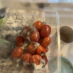 Safeway - Normal here. from container top looked fine. I would love a manager to talk to me. Don't say sorry or offer me my $4.00. How about Double.