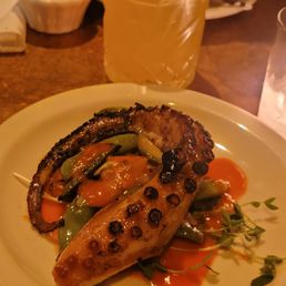 Octopus Octopus