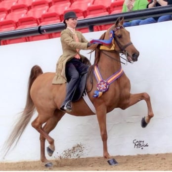 Monarch Stables - USEF National Champion, Shamrock's Jessica and owner Julie. - Horseback Riding Near Me