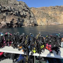Dolphin Scuba Center