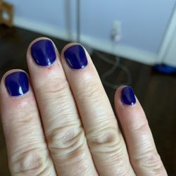The Nail Concierge