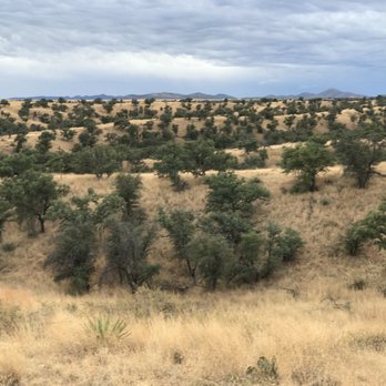 Arizona Horseback Experience - Tours Near Me Arizona Horseback Experience - Tours Near Me