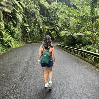 El Yunque Rainforest - Hiking Near Me - Luquillo, Puerto Rico El Yunque Rainforest - Hiking Near Me - Luquillo, Puerto Rico